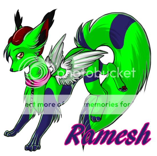 User Image